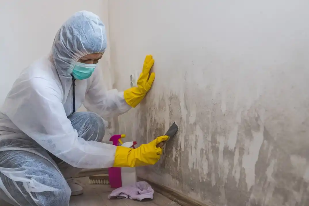 water damage restoration service Cottrell Farms
